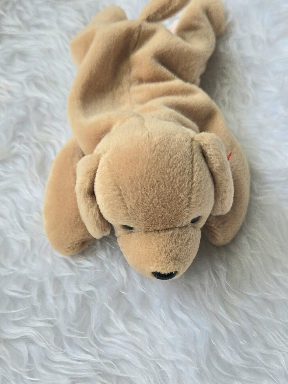 Fetch the Golden Retriever Ty Beanie Baby- 1997 (Retired) Collectibles